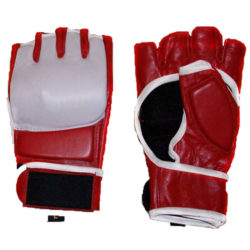 MMA Gloves