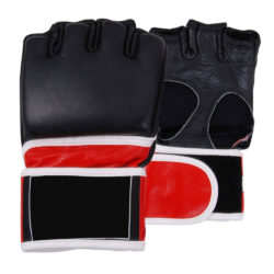 MMA Gloves